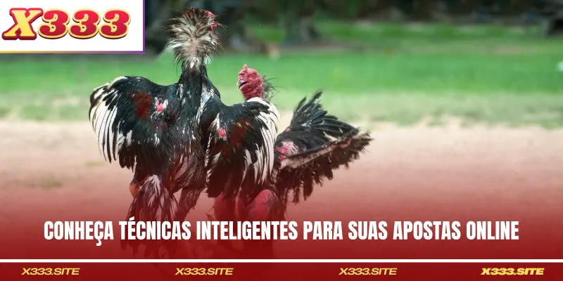Conheça técnicas inteligentes para suas apostas online
