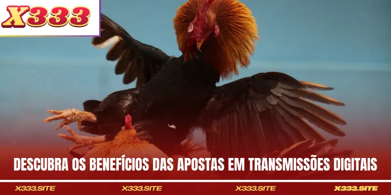 Descubra os benefícios das apostas em transmissões digitais