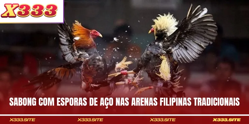 Sabong com esporas de aço nas arenas filipinas tradicionais