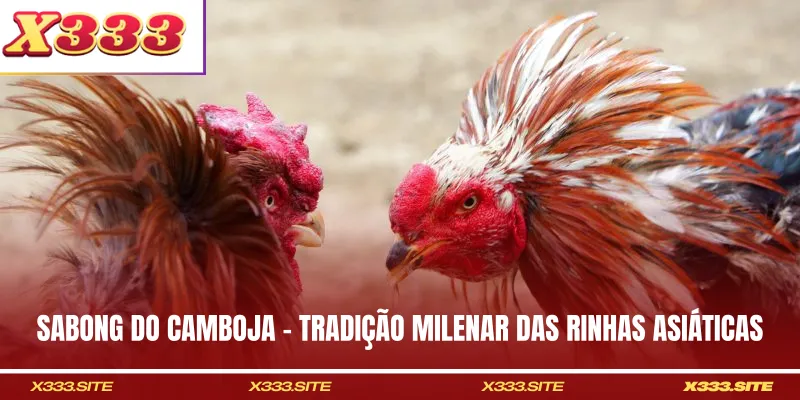 Sabong Do Camboja - Tradição Milenar Das Rinhas Asiáticas